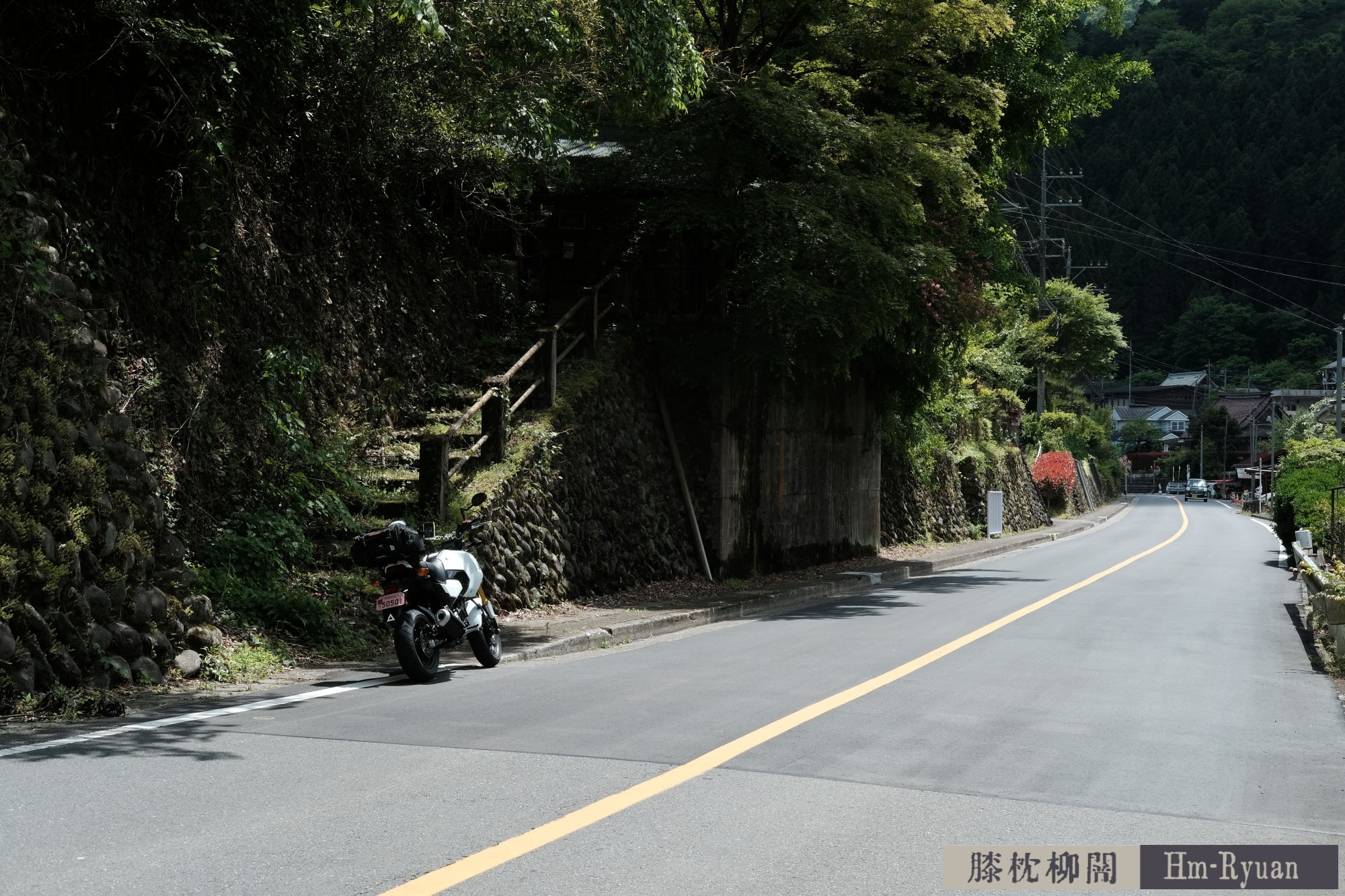 CC_DSCF7617