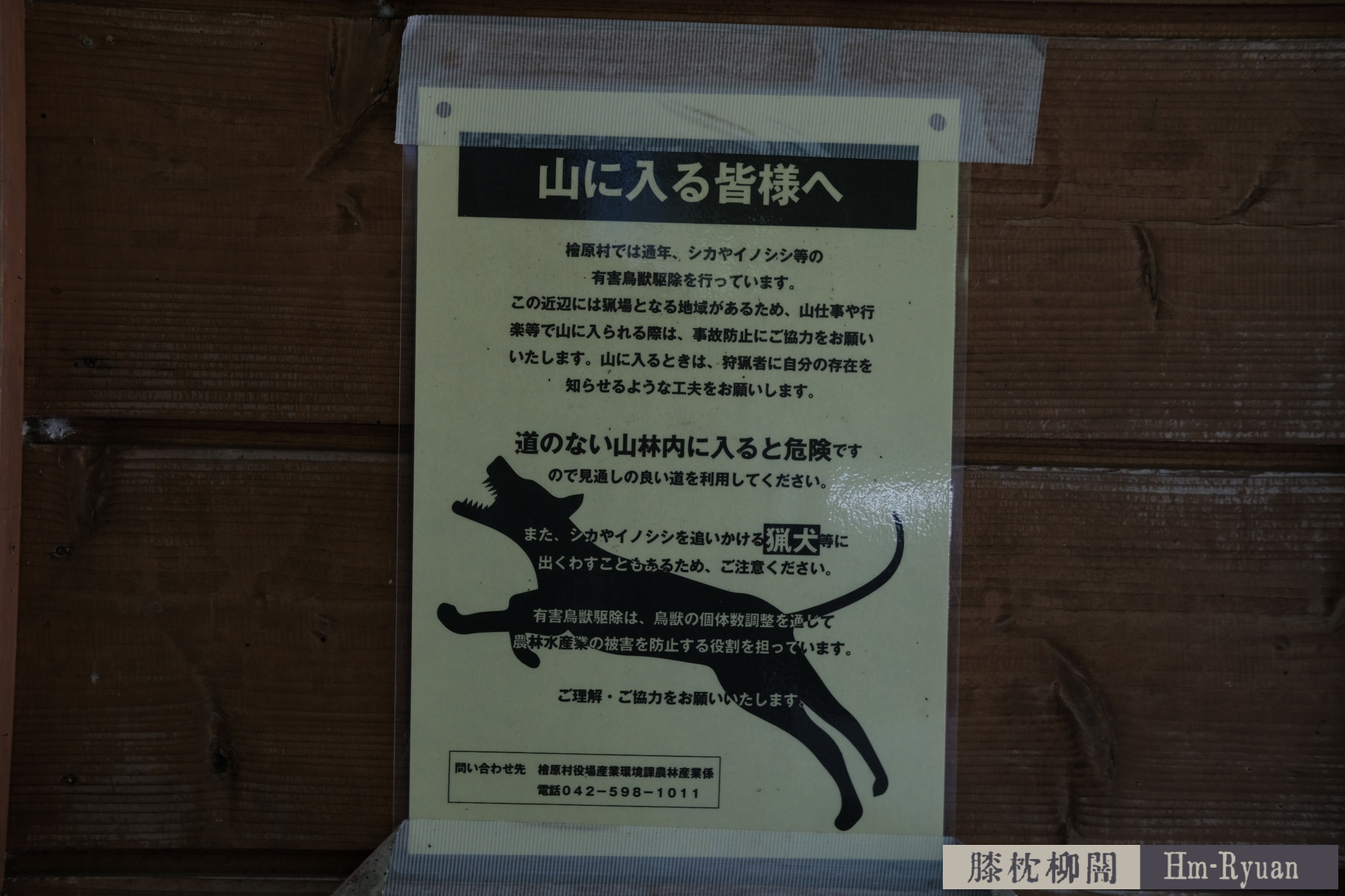 CC_DSCF7619