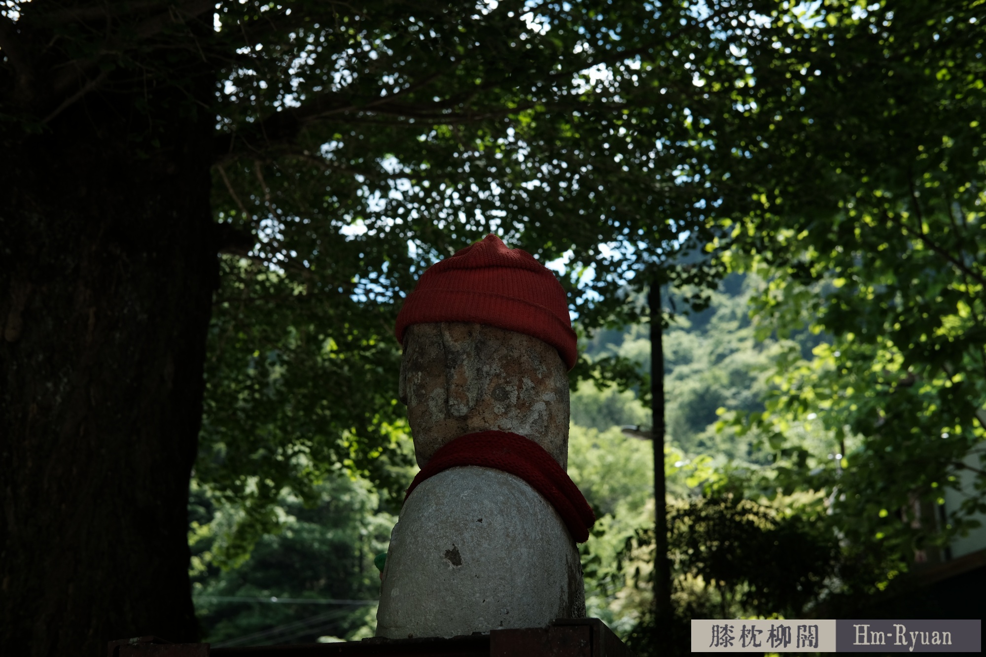 CC_DSCF7620