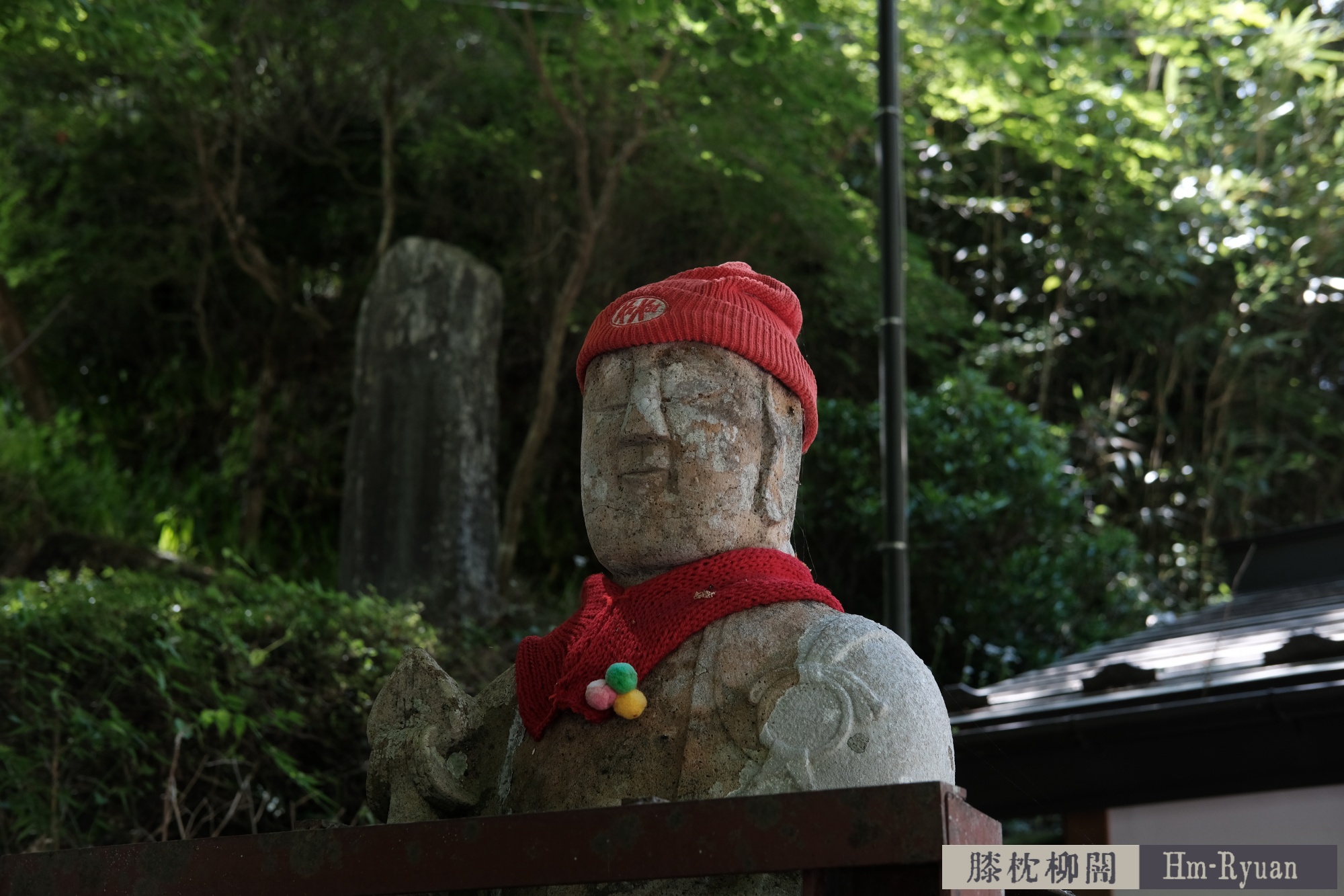 CC_DSCF7621
