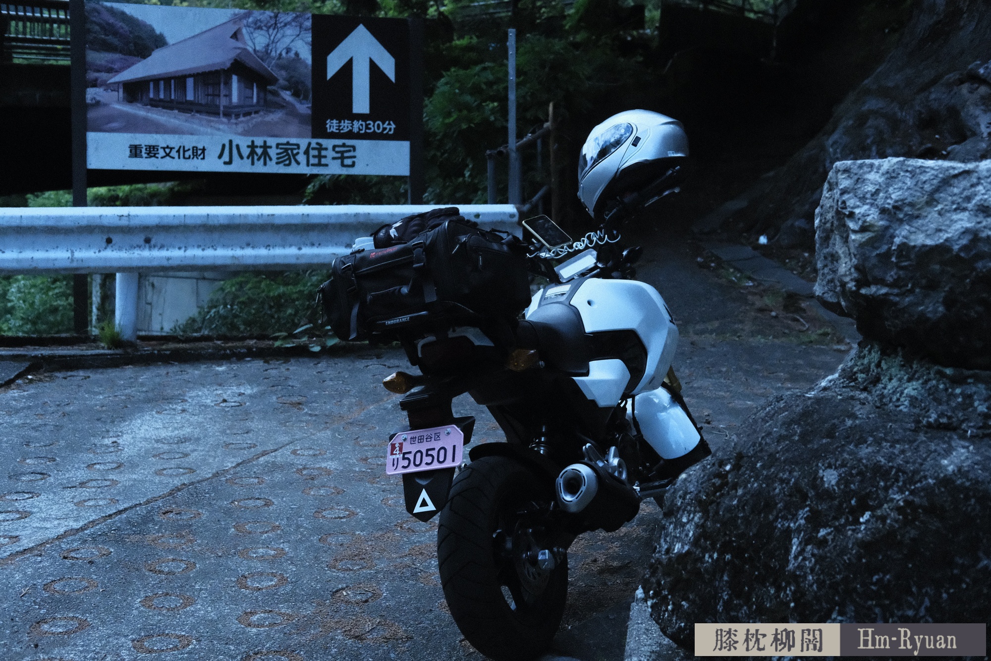 CC_DSCF7633
