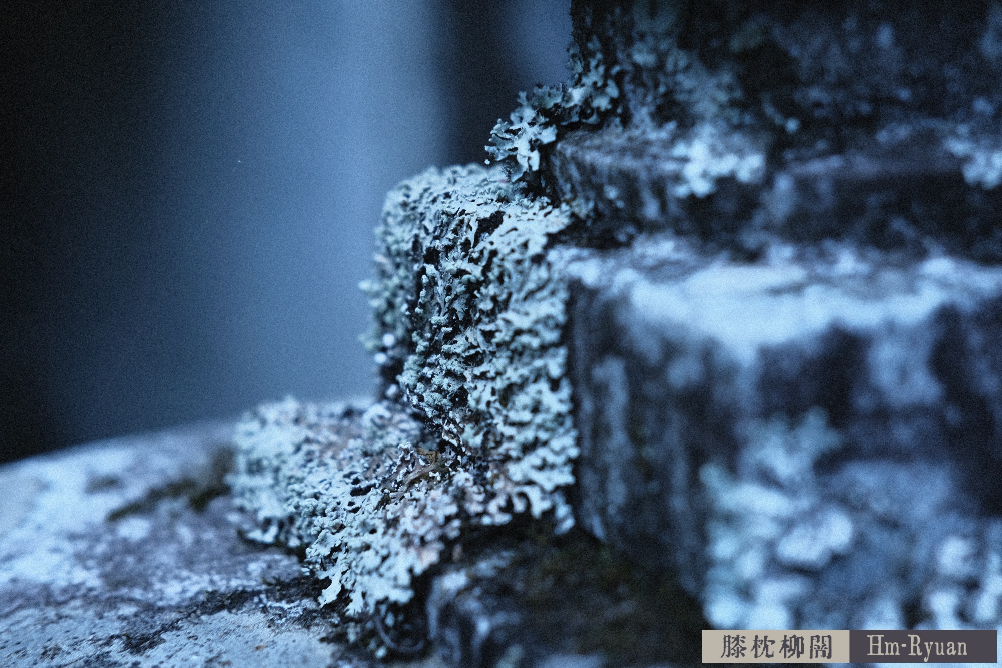 CC_DSCF7638