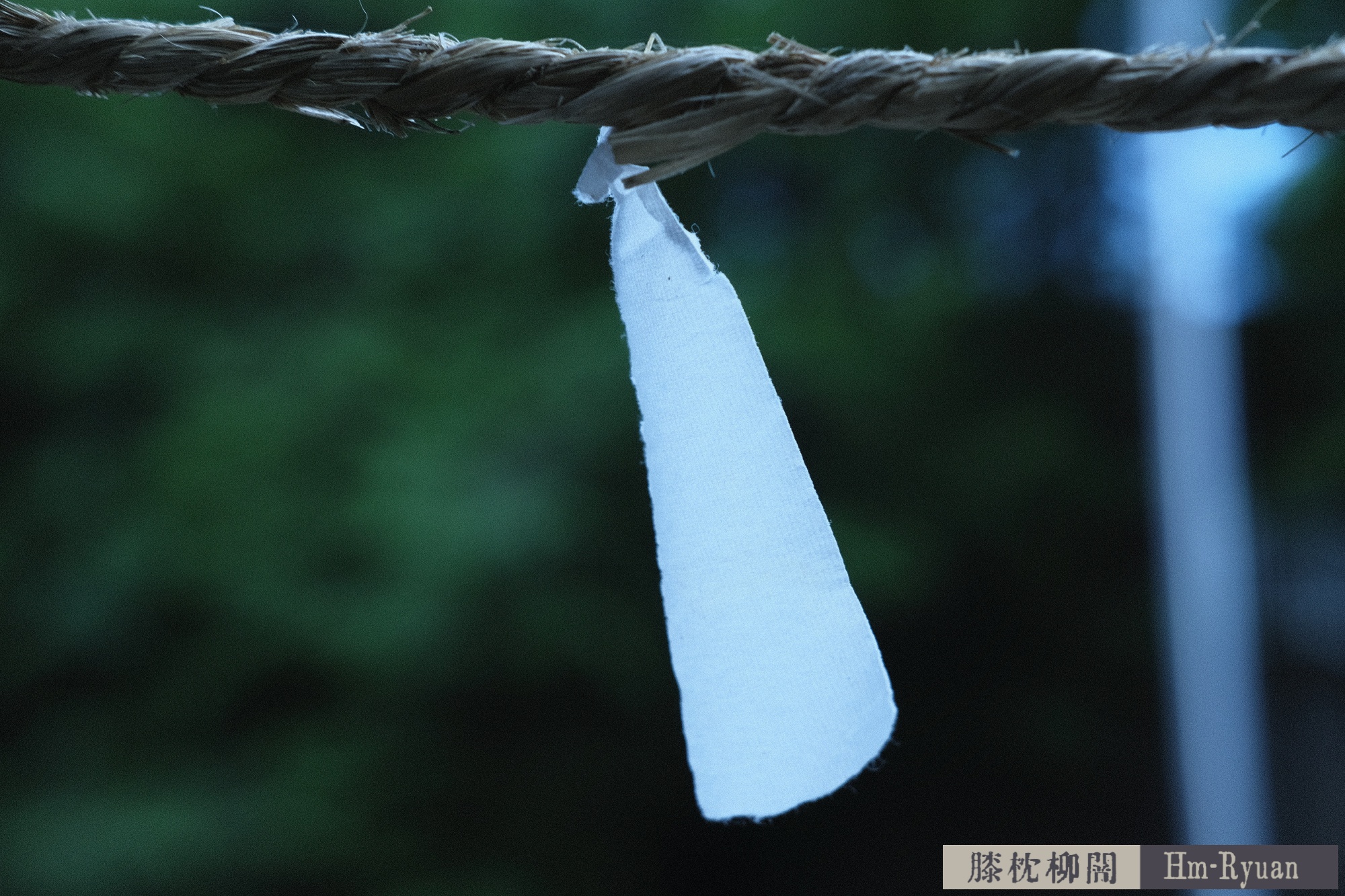 CC_DSCF7639