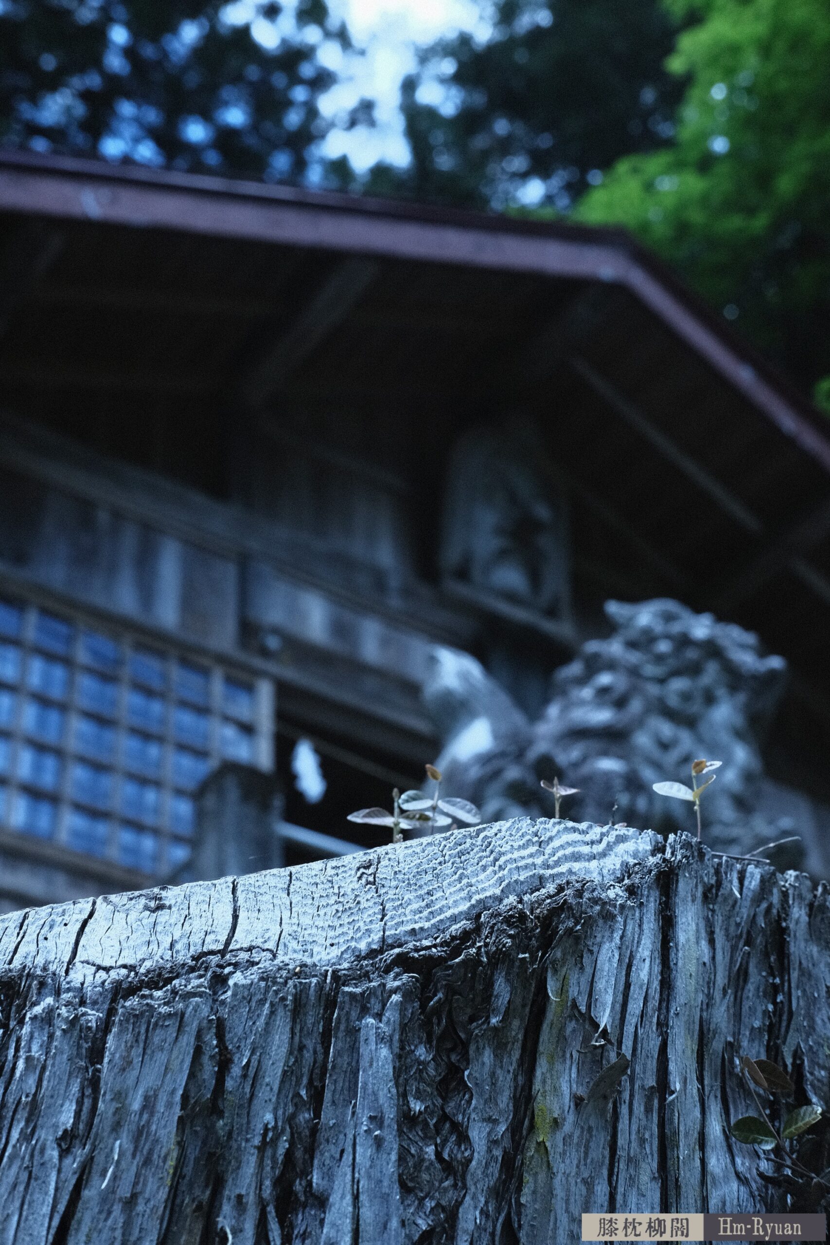 CC_DSCF7640