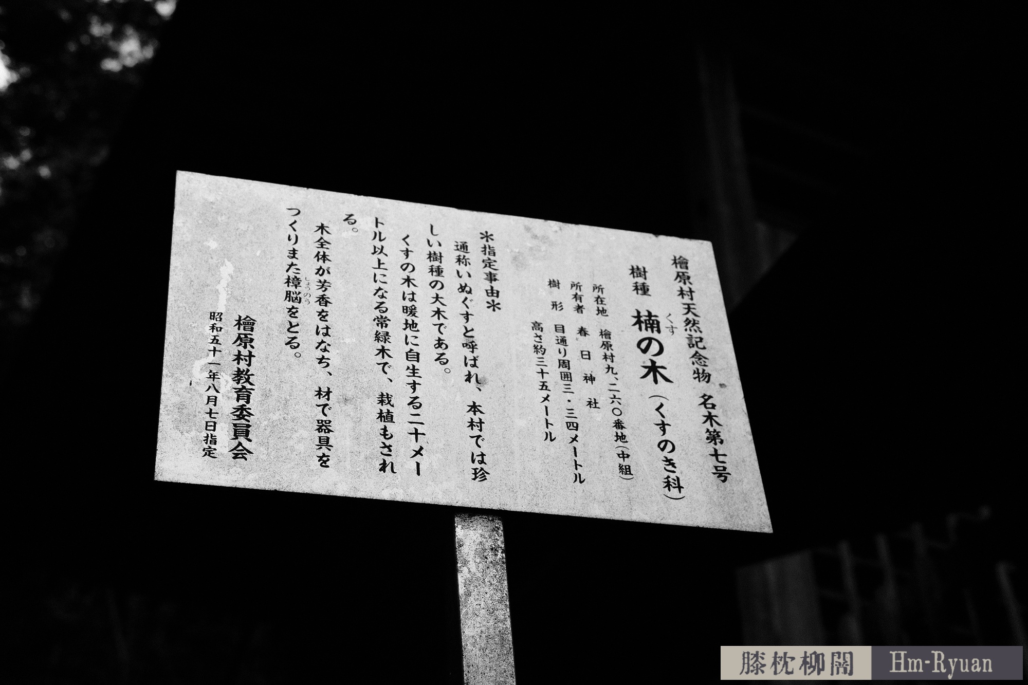 CC_DSCF7643