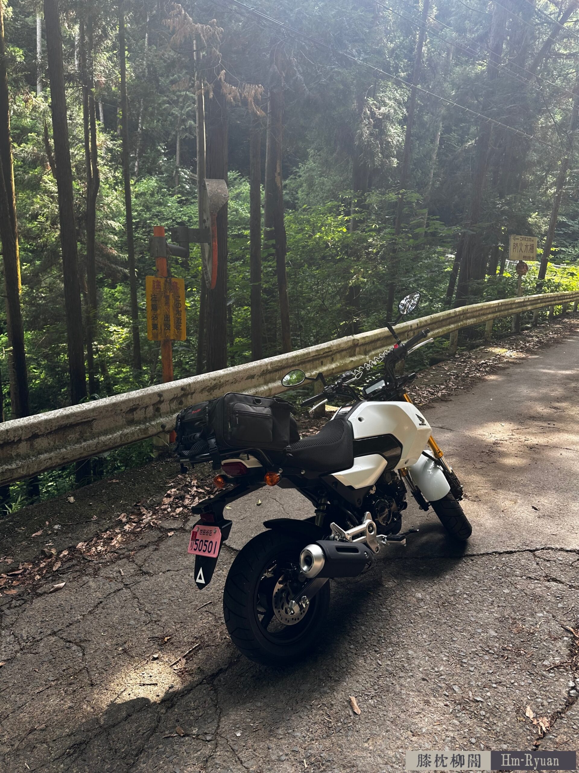 CC_IMG_5695