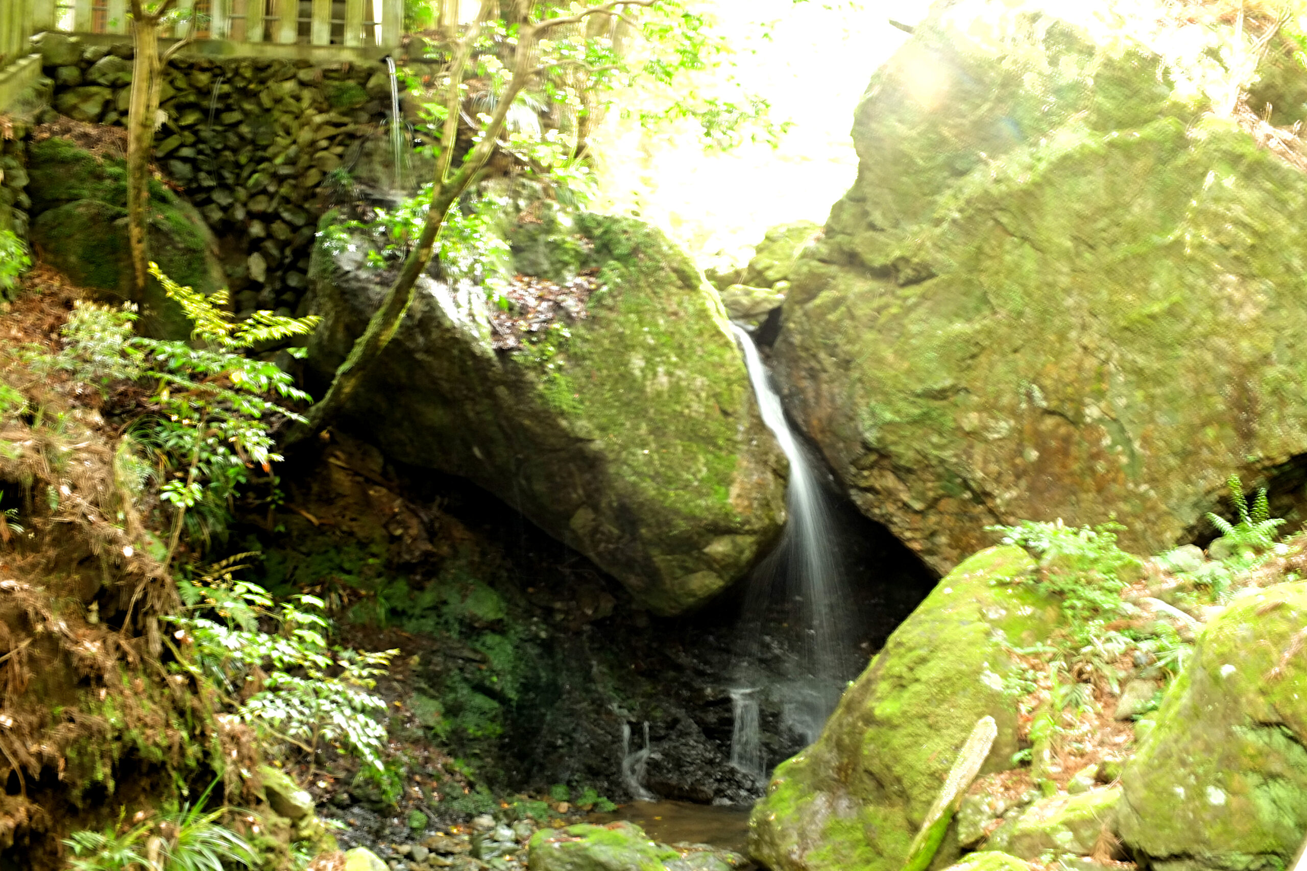 DSCF7453-fotor-20260511182223